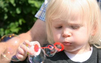 Assurance décès croisé sur la Crau