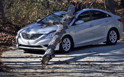 Assurance vie sur le Revest